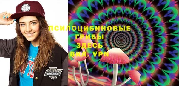 соль ск Алексин
