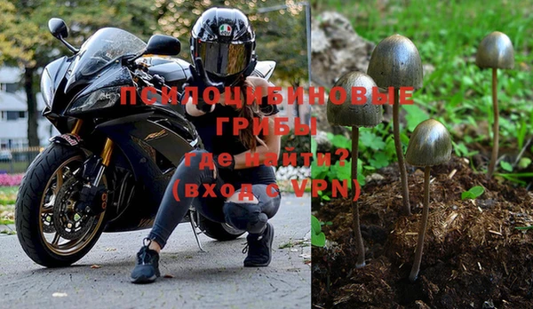 спайс Осинники