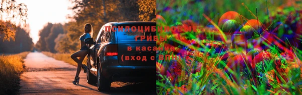 мефедрон мука Алексеевка