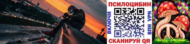 Псилоцибиновые грибы мухоморы цены Томмот